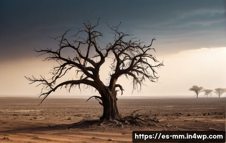 토양 건강 증진을 위한 국제 협력 방안 관련 이미지 1