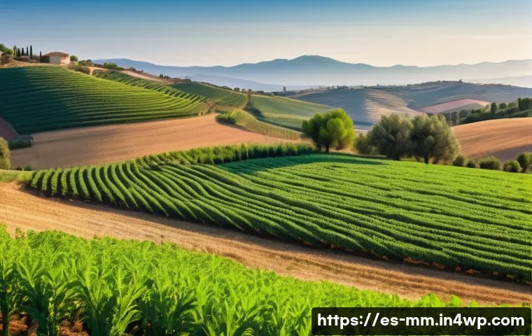 토양 건강 회복을 위한 지속 가능한 자원 관리 - A vibrant agricultural field scene in a sunny rural area of Spain, showcasing diverse crop rotation ...