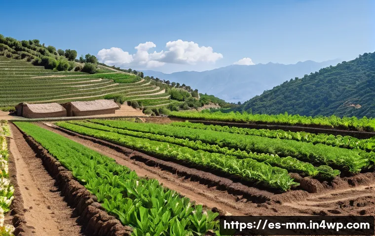 토양 건강 회복을 위한 지속 가능한 자원 관리 관련 이미지 2